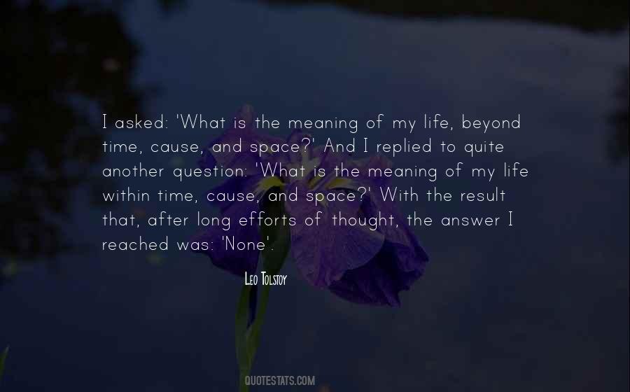 Meaning Of My Life Quotes #1679652