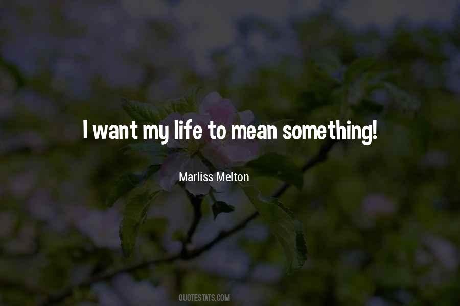 Meaning Of My Life Quotes #941328