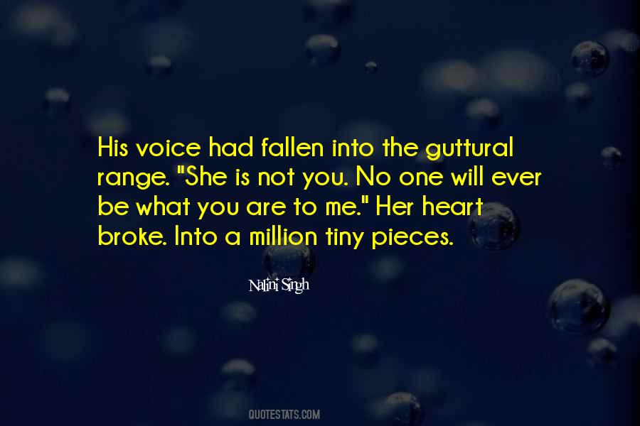 Broke Into Pieces Quotes #645512