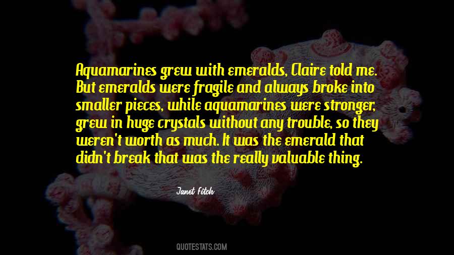 Broke Into Pieces Quotes #894658