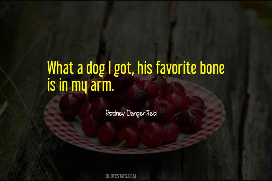 Dog With A Bone Quotes #1472860