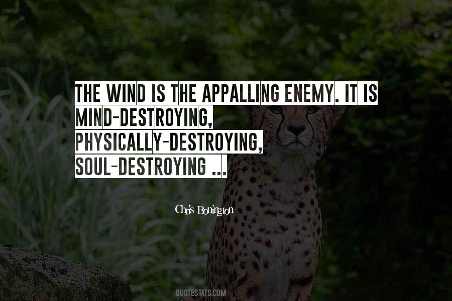 Mind Enemy Quotes #1433452