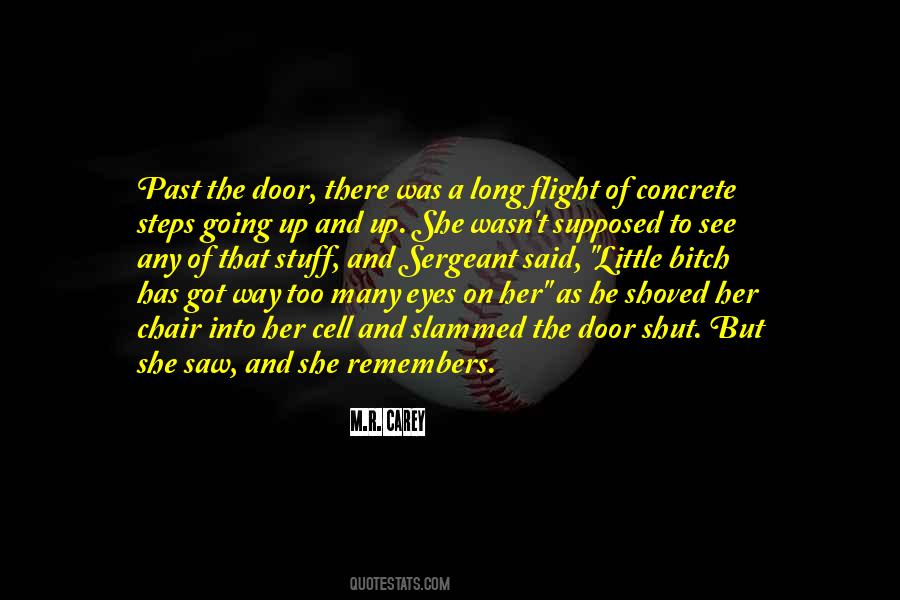 She Has Eyes Quotes #1392998
