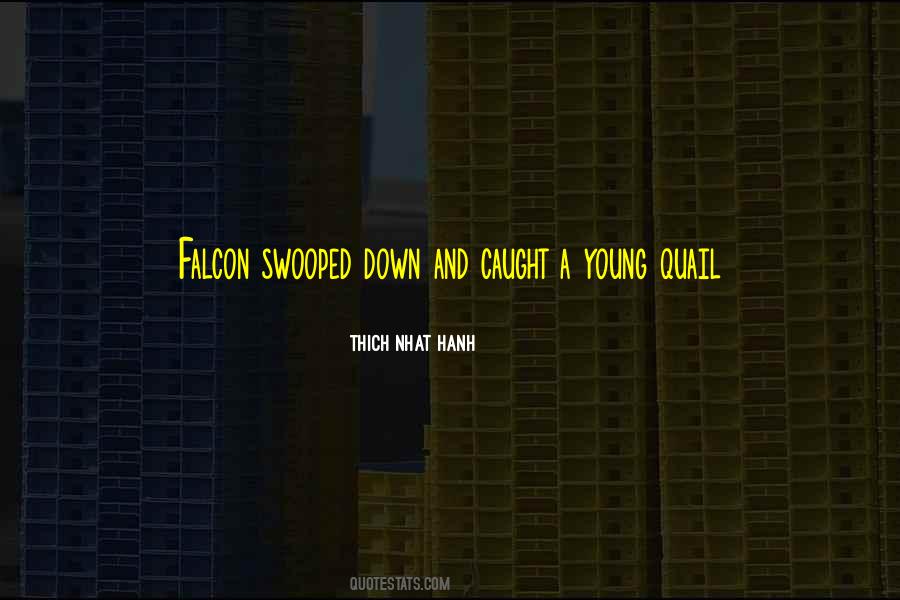 Falcon Quotes #801111