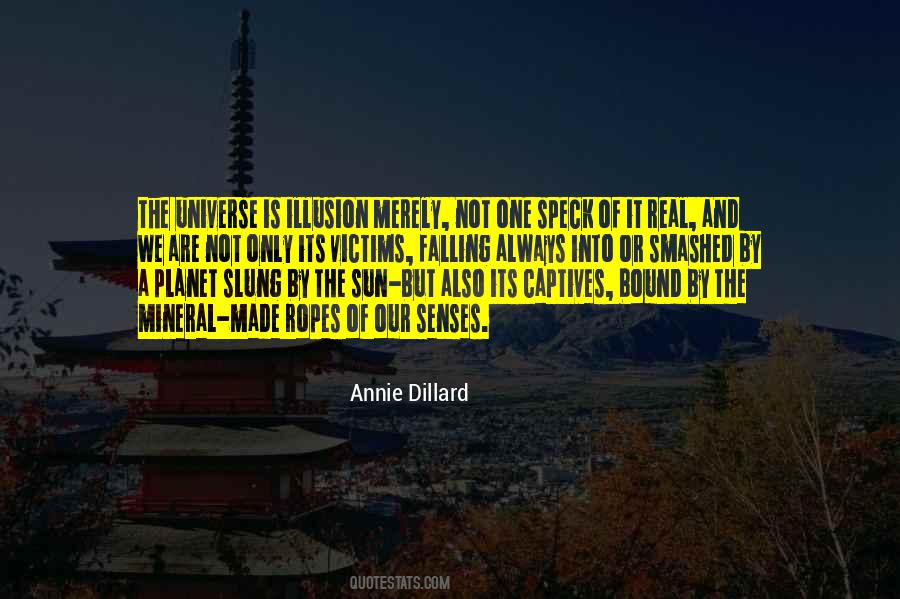 Speck In The Universe Quotes #399534