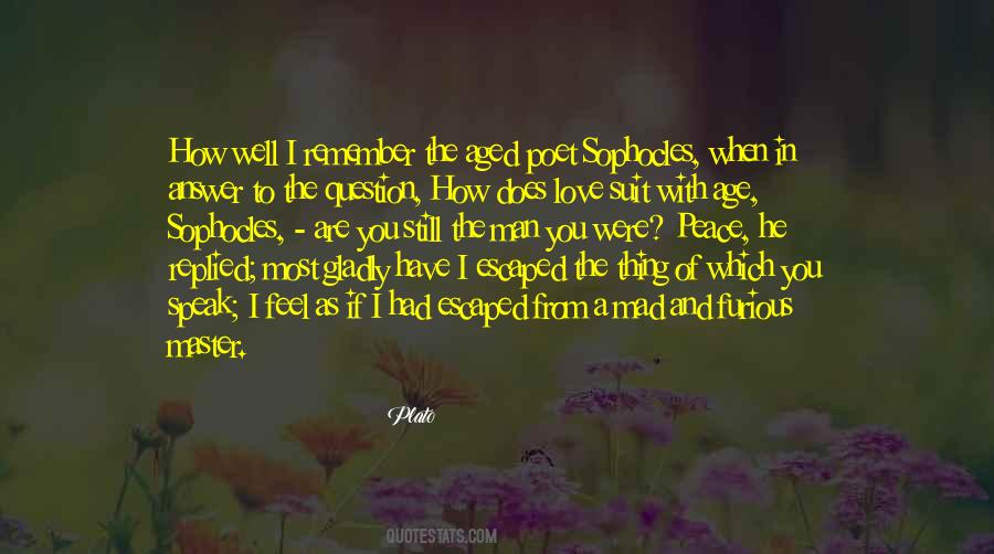 I Feel Peace Quotes #1798347