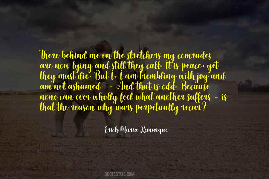 I Feel Peace Quotes #52465