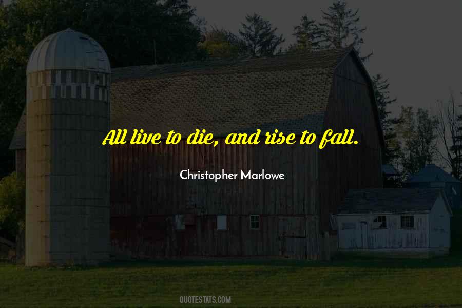 Fall And Rise Quotes #128164