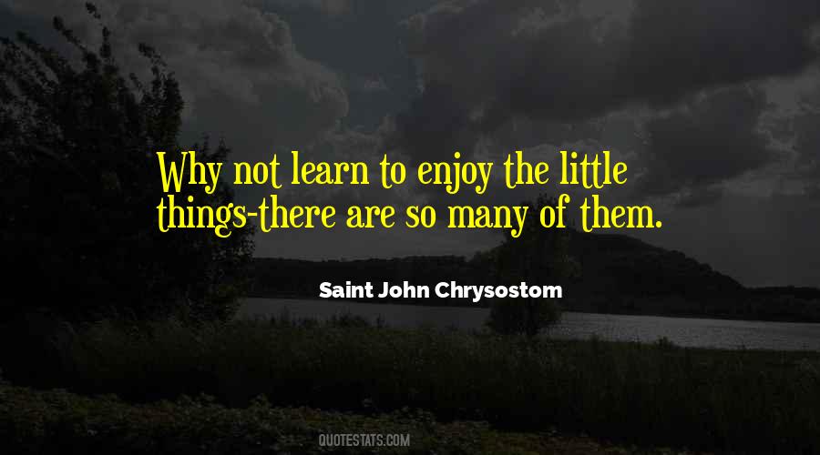 So Many Things To Learn Quotes #1357605