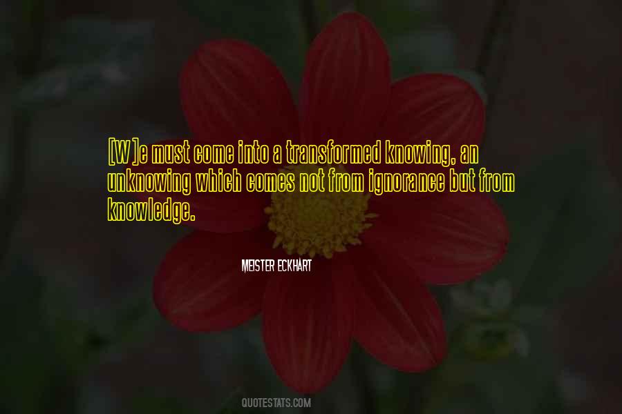 Quotes About Not Knowing Which #1158127