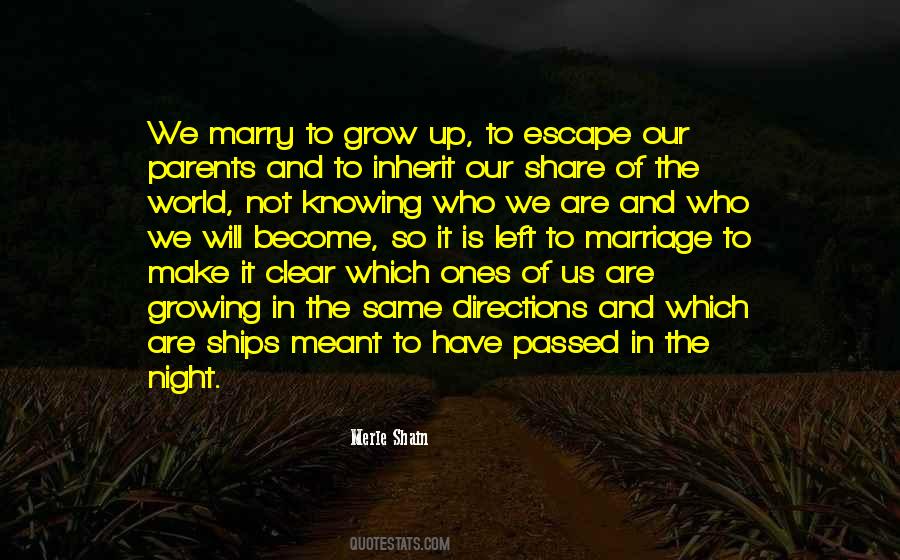 Quotes About Not Knowing Which #745611