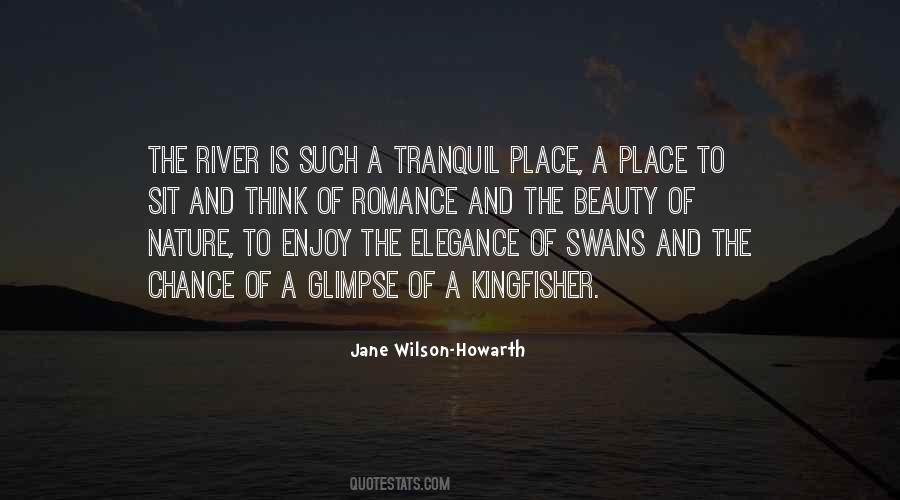 Quotes About A Swan #127140