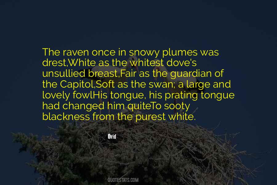 Quotes About A Swan #1504029