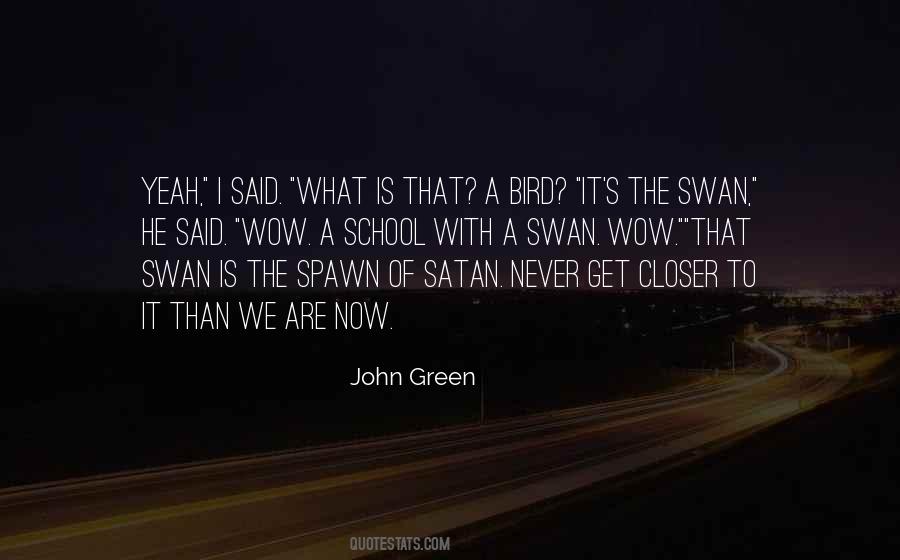 Quotes About A Swan #1553066