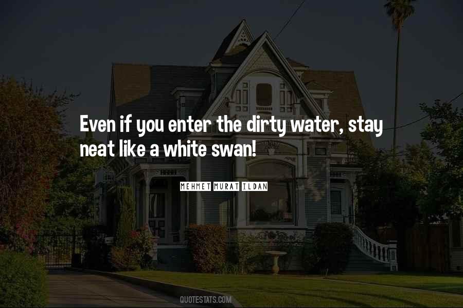 Quotes About A Swan #422566