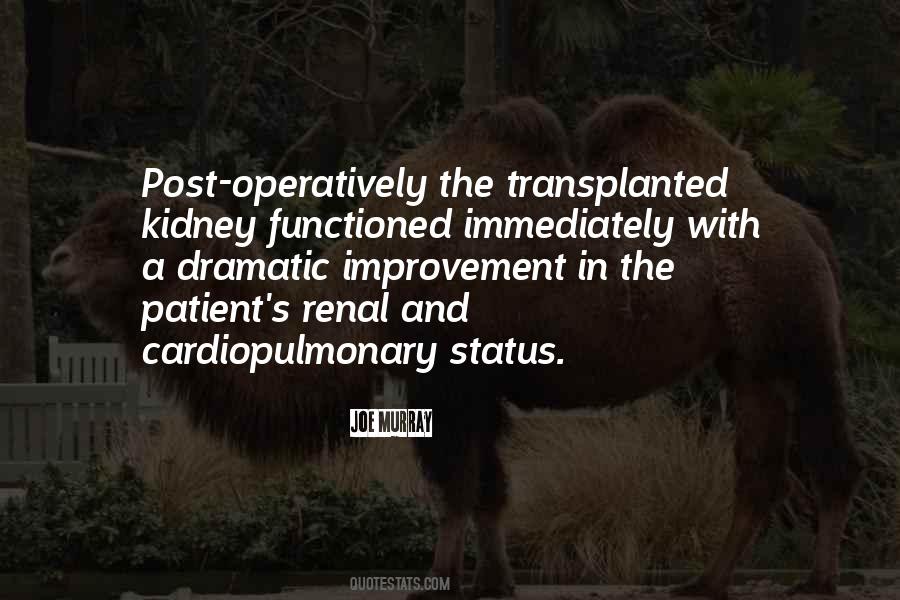 Quotes About The Kidney #1340000