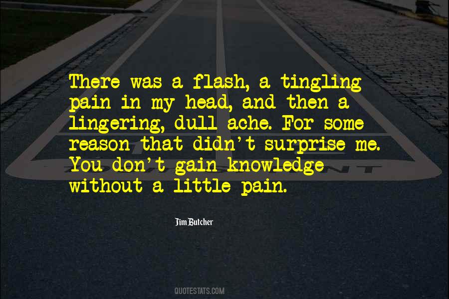 Quotes About Gain Without Pain #1285004