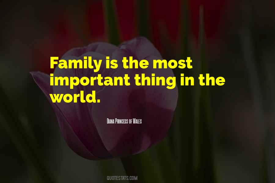 Family Is Most Important Quotes #1109108