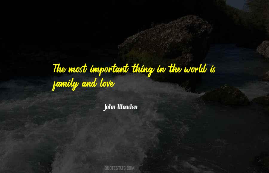 Family Is Most Important Quotes #97094