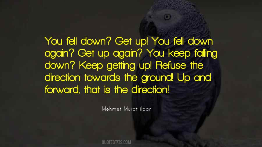 Fall Down Get Up Quotes #1673053