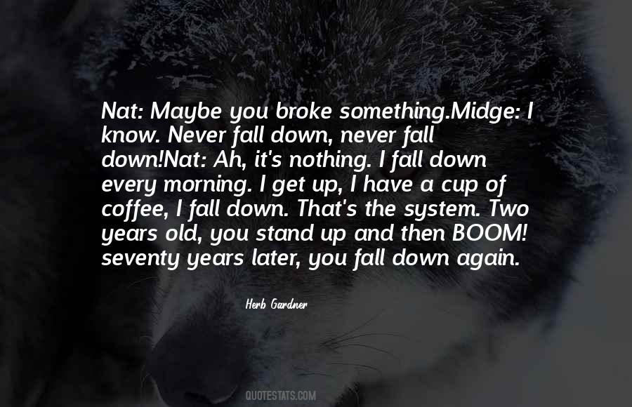 Fall Down Get Up Quotes #601120