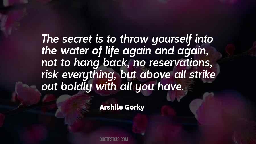 Risk Everything Quotes #242192