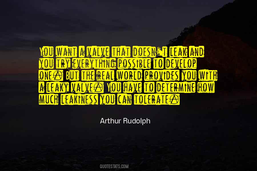 Risk Everything Quotes #259847