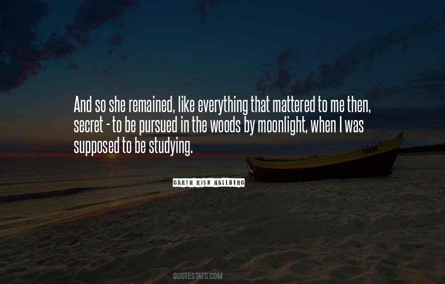 Risk Everything Quotes #578396