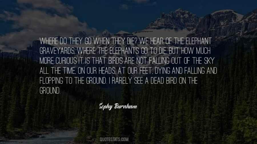 Fall On The Ground Quotes #1583095