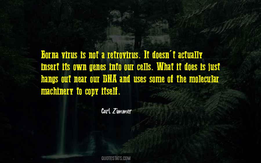 Insert A Quotes #1108863