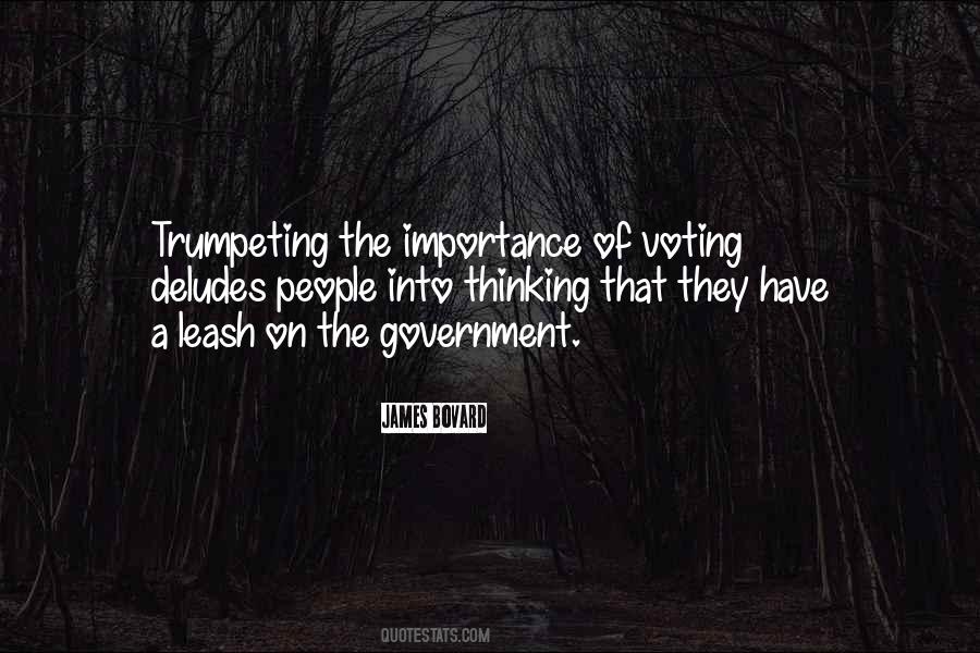 Quotes About Importance Of Government #966599