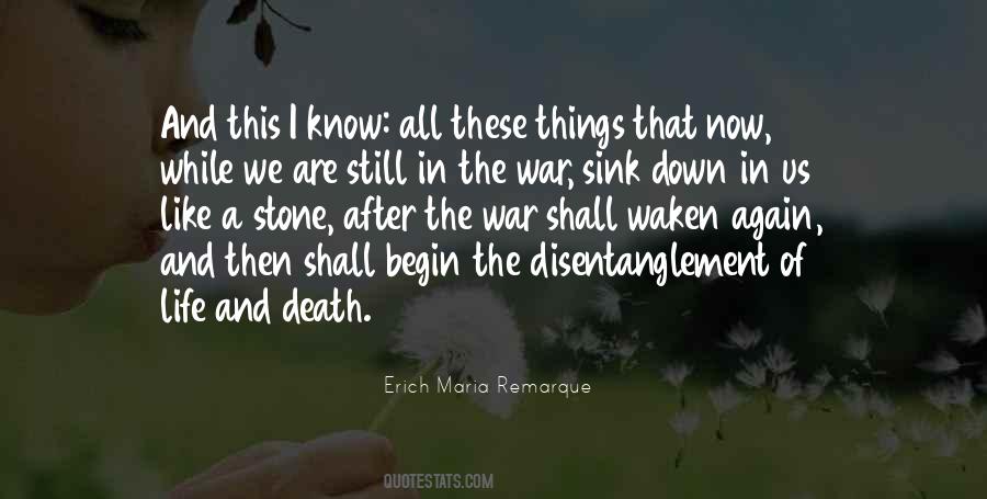 We Are Soldiers Quotes #1276517