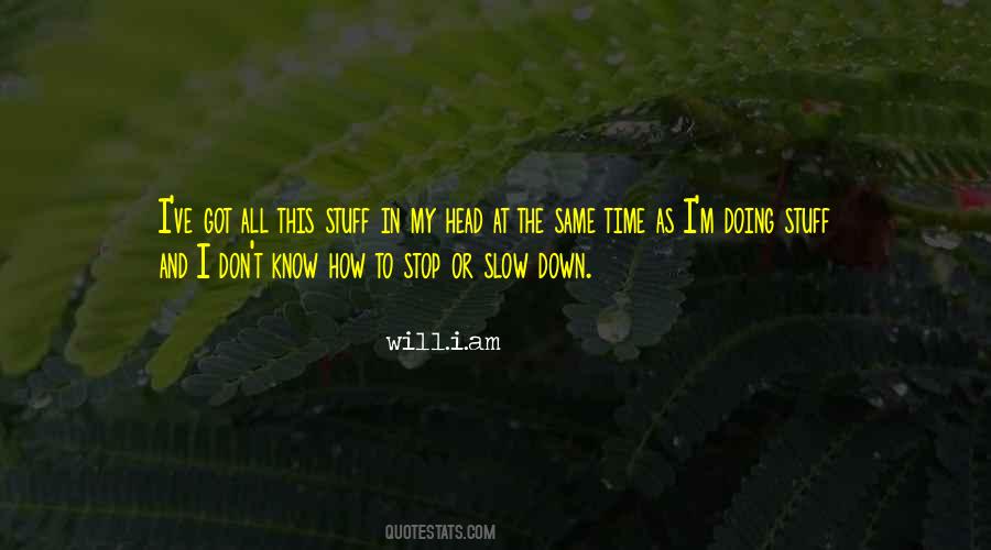 Time To Slow Down Quotes #1386686