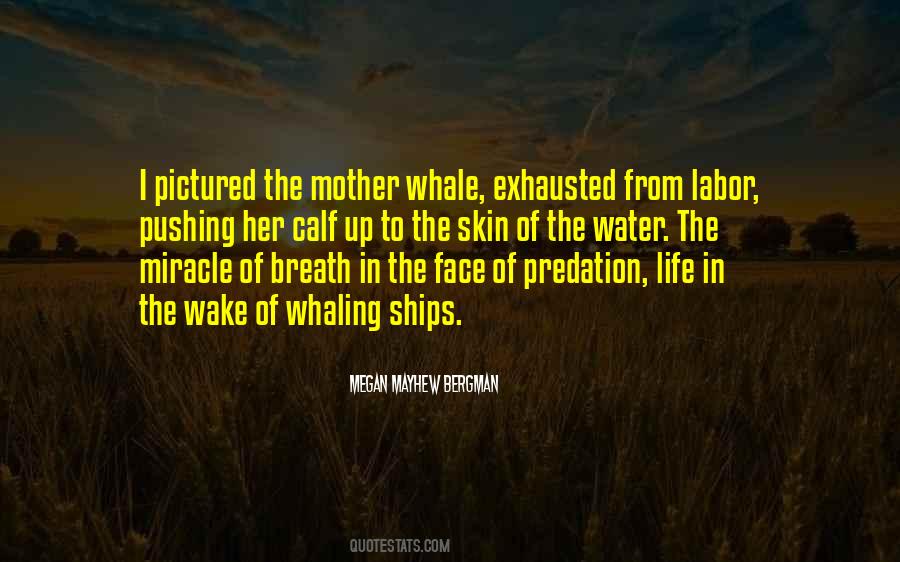 Breath Of Water Quotes #384306