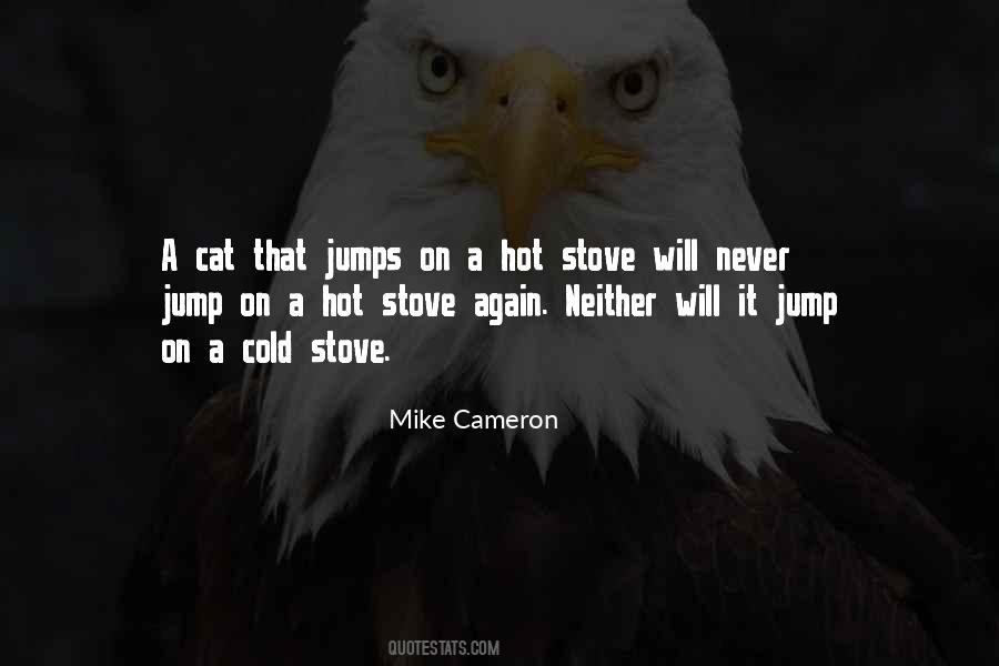 Hot Cold Quotes #453418