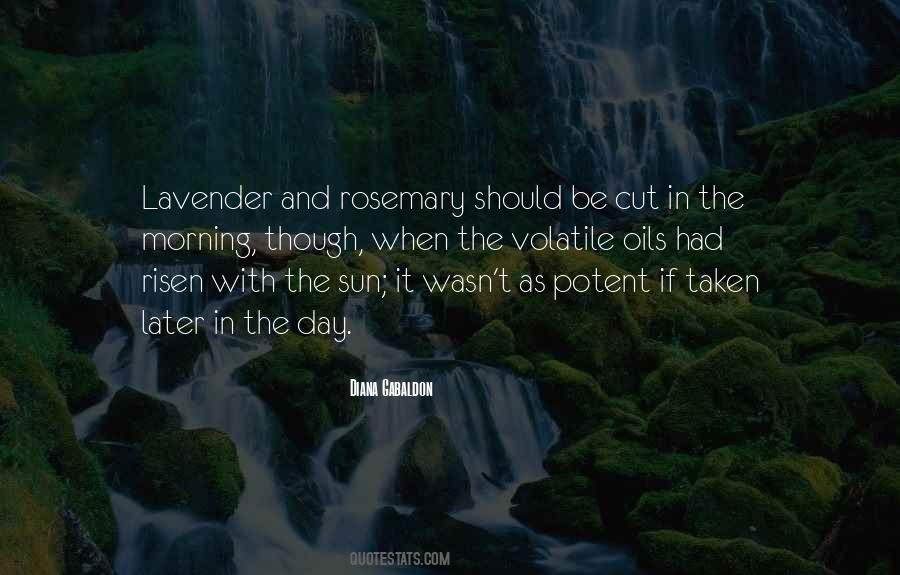 The Sun Has Risen Quotes #183917