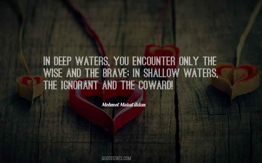 Shallow Waters Quotes #1666639