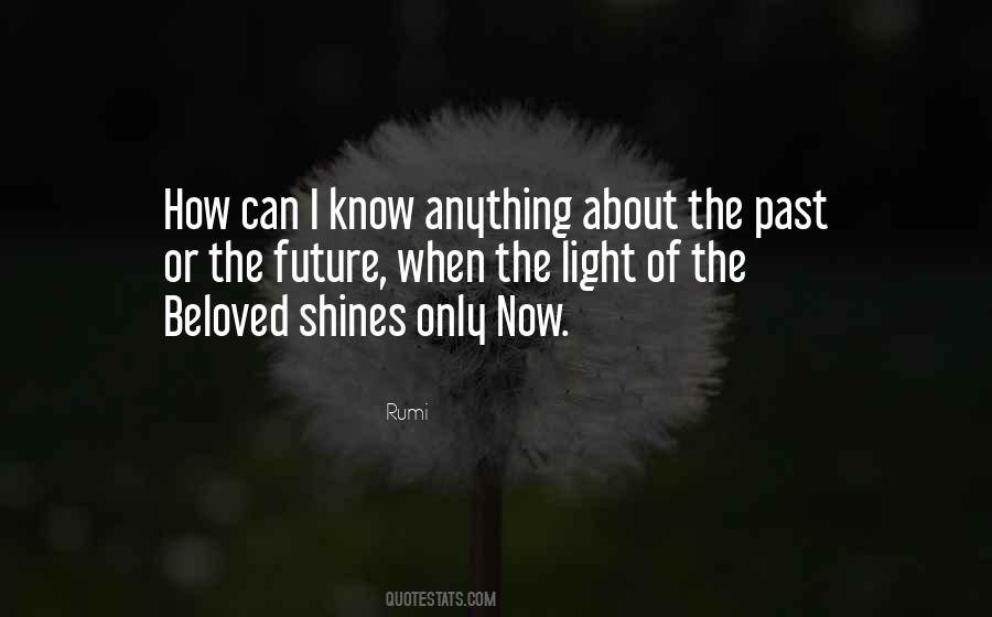 Future Light Quotes #996797