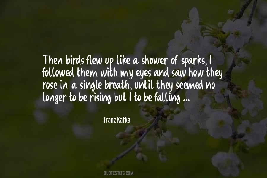 Falling For Your Eyes Quotes #231381