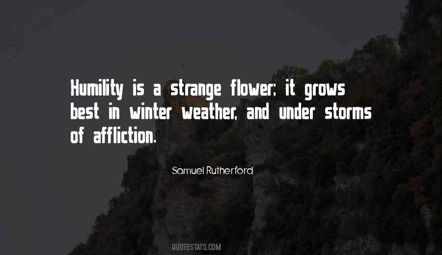 Flower Best Quotes #234456