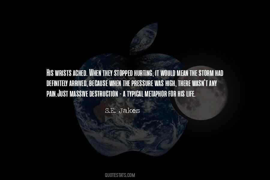 Life Storm Quotes #1629733