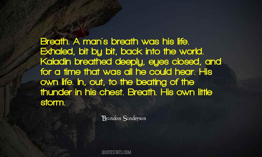 Life Storm Quotes #1661484