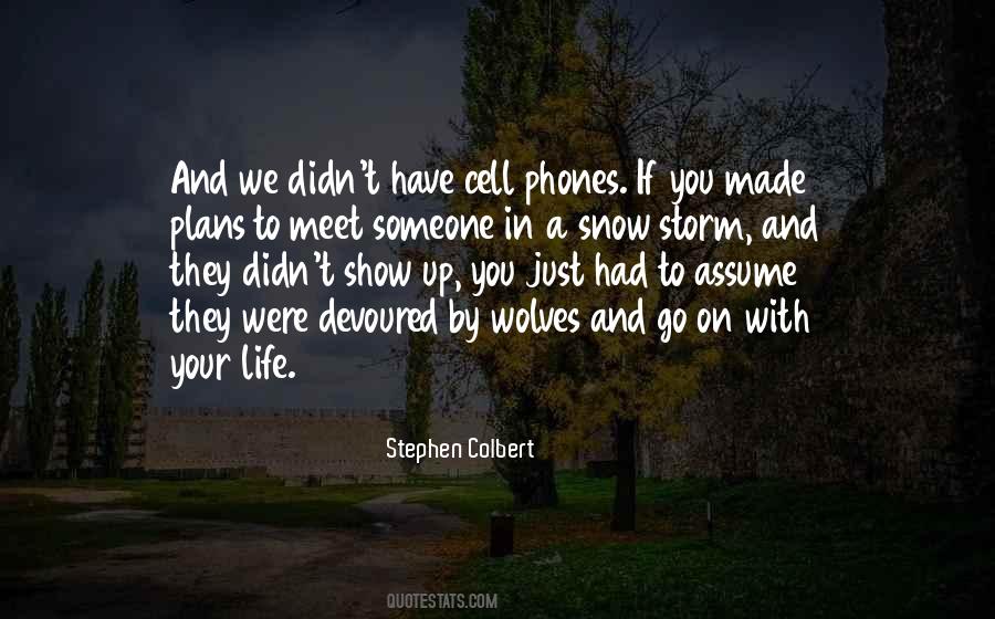 Life Storm Quotes #513315