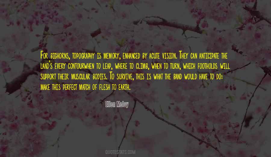 Falling In Love By Accident Quotes #1362215