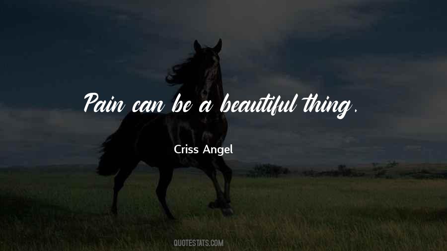 Beautiful Pain Quotes #101838