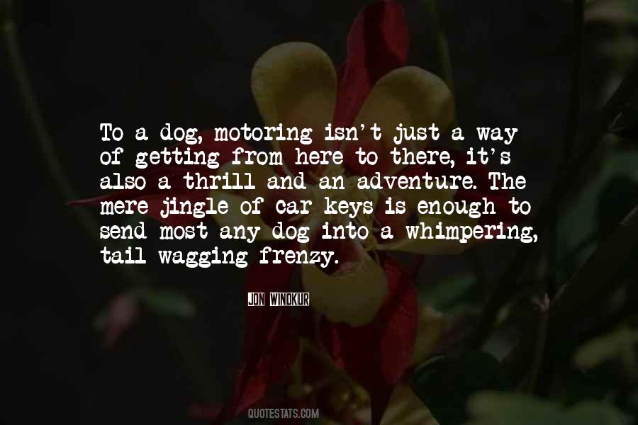 Dog Adventure Quotes #1742624