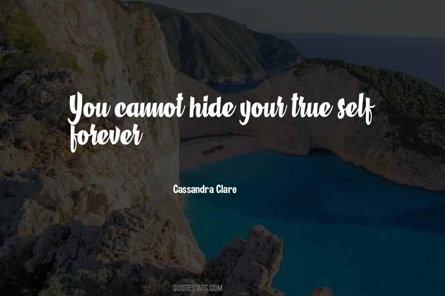 You Cannot Hide Quotes #1060745