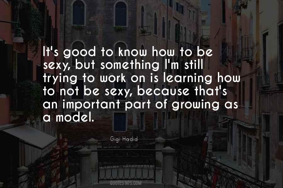 A Good Model Quotes #736015