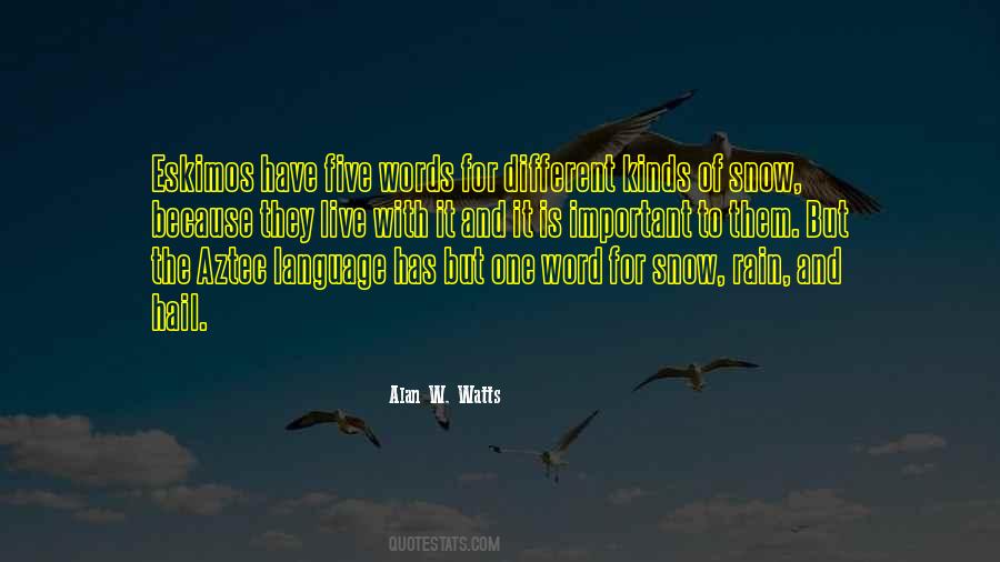 Word Is Important Quotes #1387578