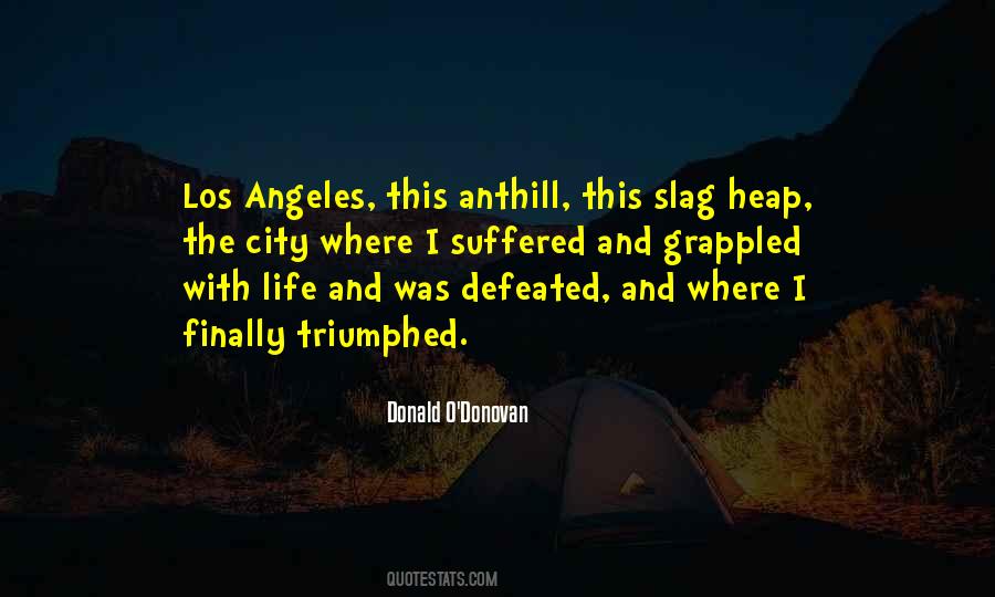 Life And City Quotes #918010